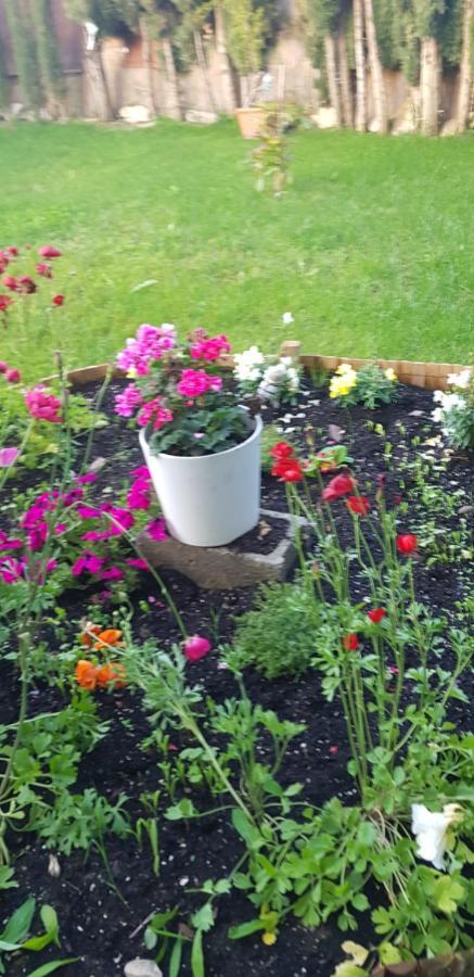 Con Jardin Y Piscina Pet Friendly Appartement