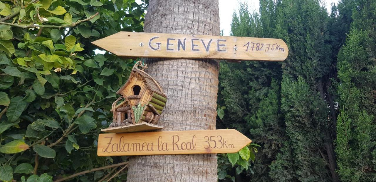 Appartamento Con Jardin Y Piscina Pet Friendly
